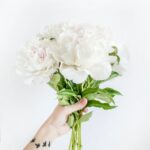 person holding white peony bouquet closeup photography