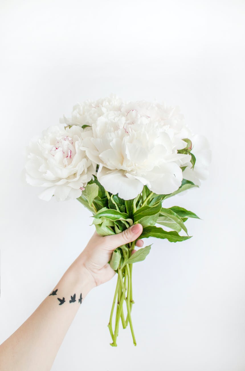 person holding white peony bouquet closeup photography